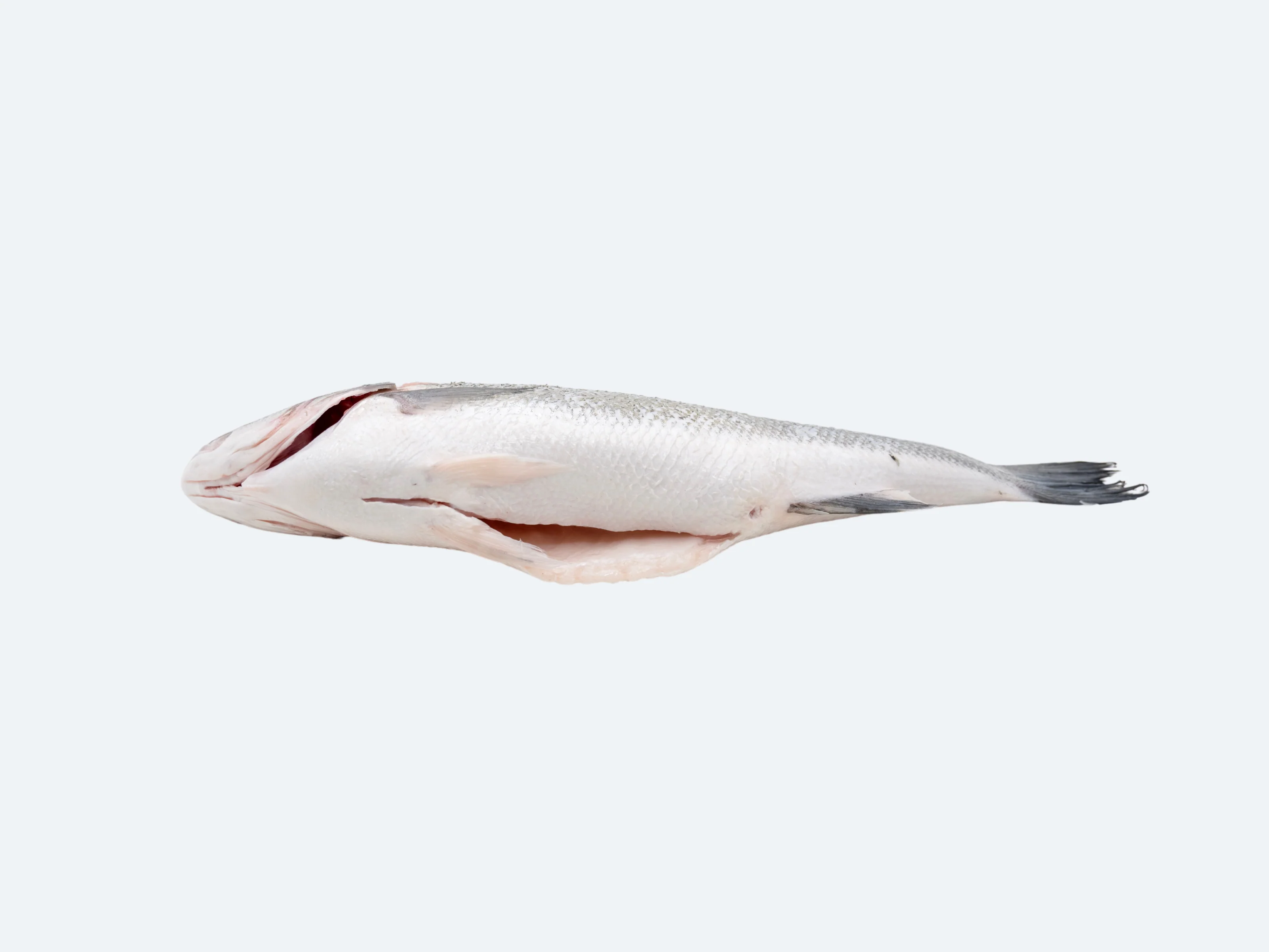Branzino (Whole Fish) - Image 3