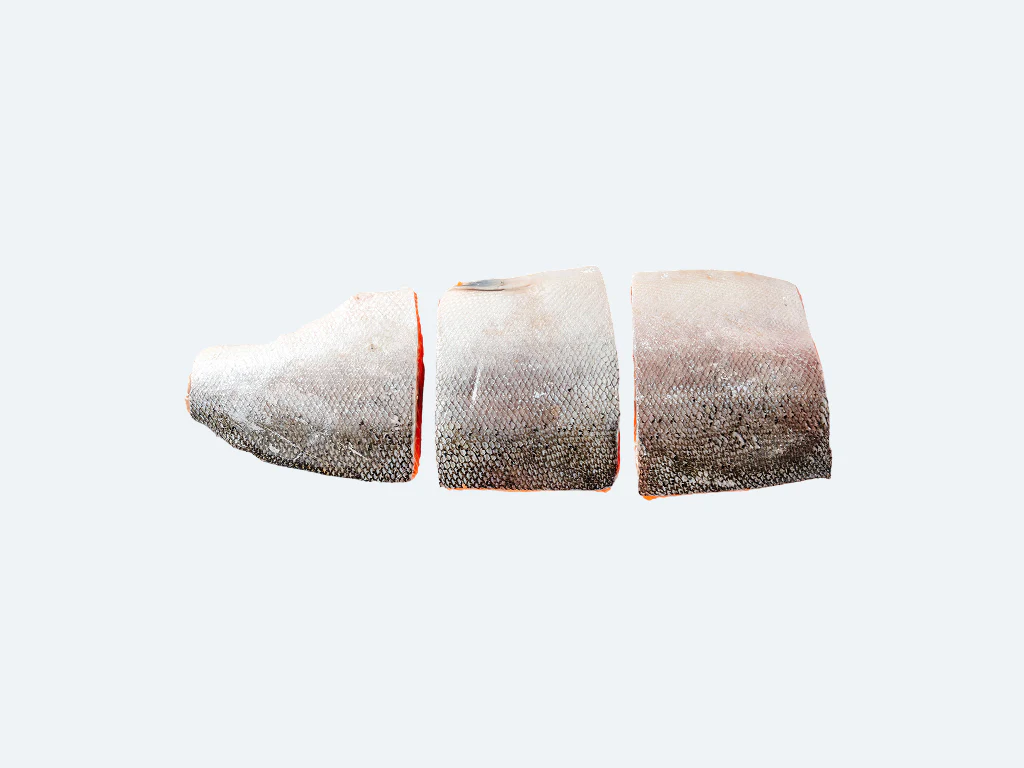European Salmon Fillet - Image 4