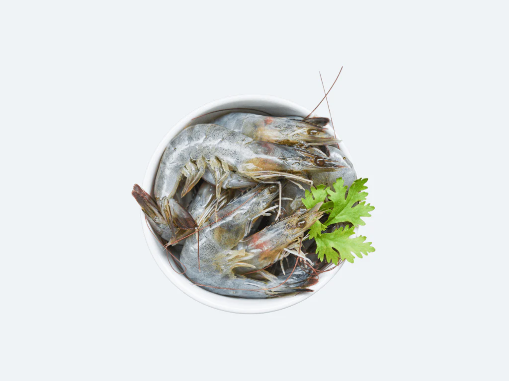 Farmed White Shrimp - Image 3