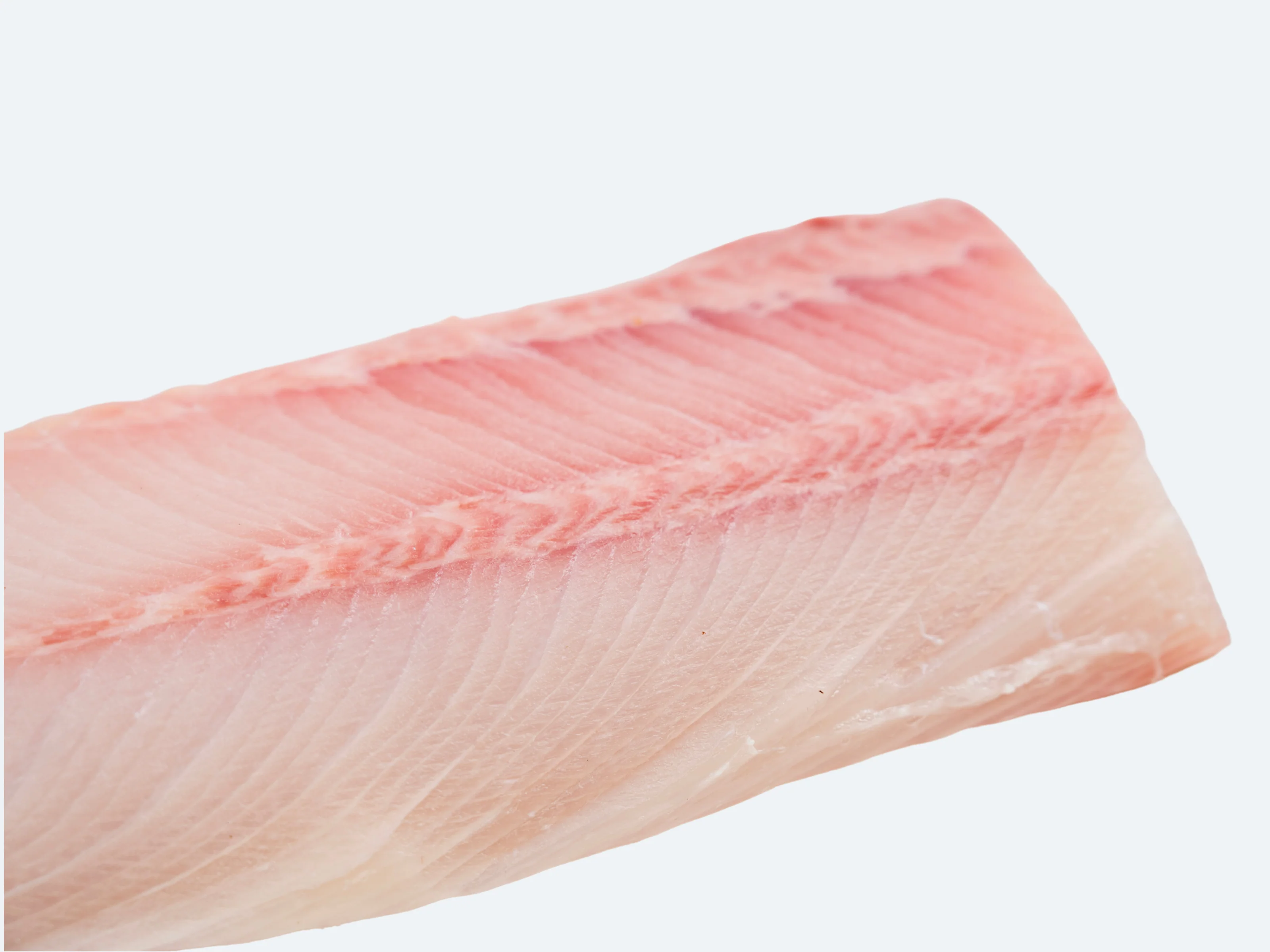 Hiramasa Saku | Yellowtail Amberjack - Image 2