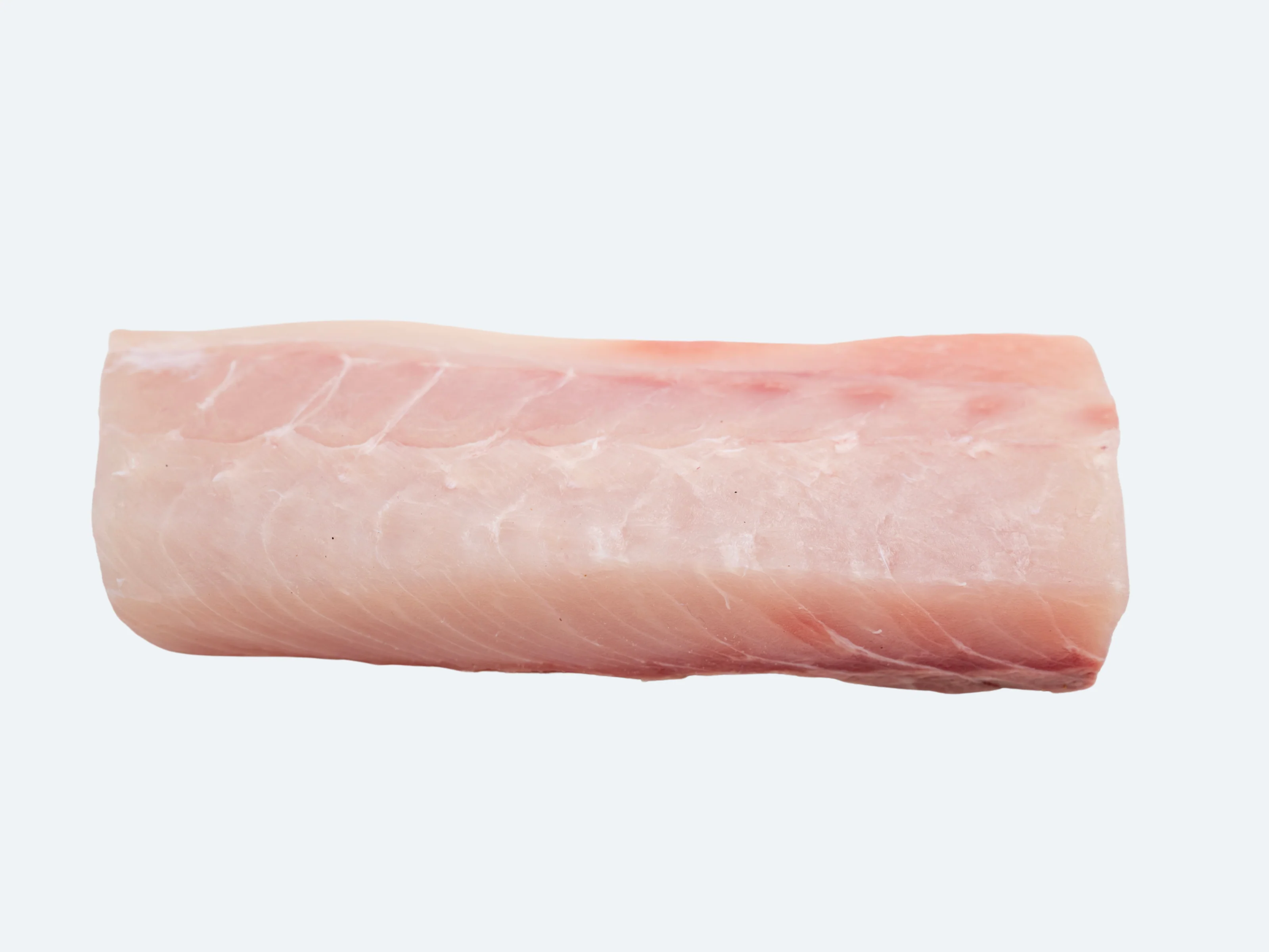 Hiramasa Saku | Yellowtail Amberjack - Image 4