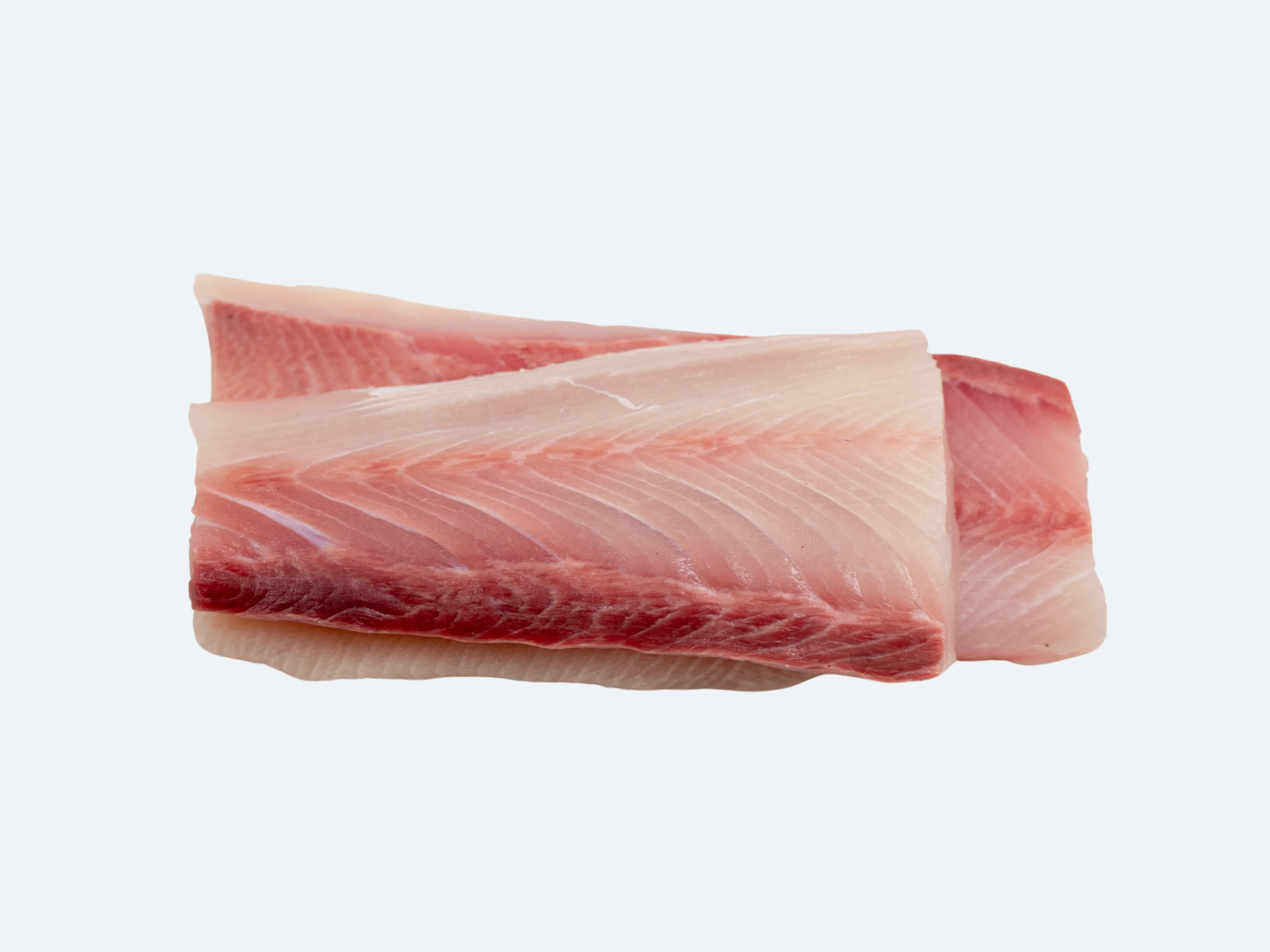 Hiramasa Saku | Yellowtail Amberjack - Image 8