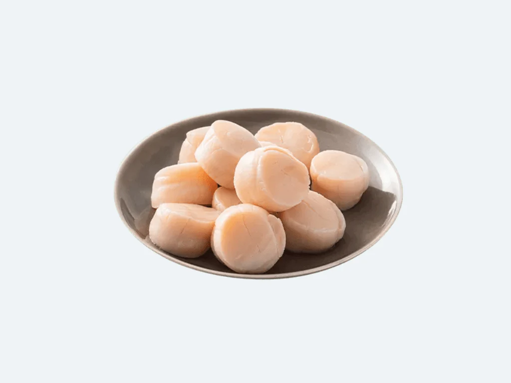 Hokkaido Hotate (Scallop) - Image 3