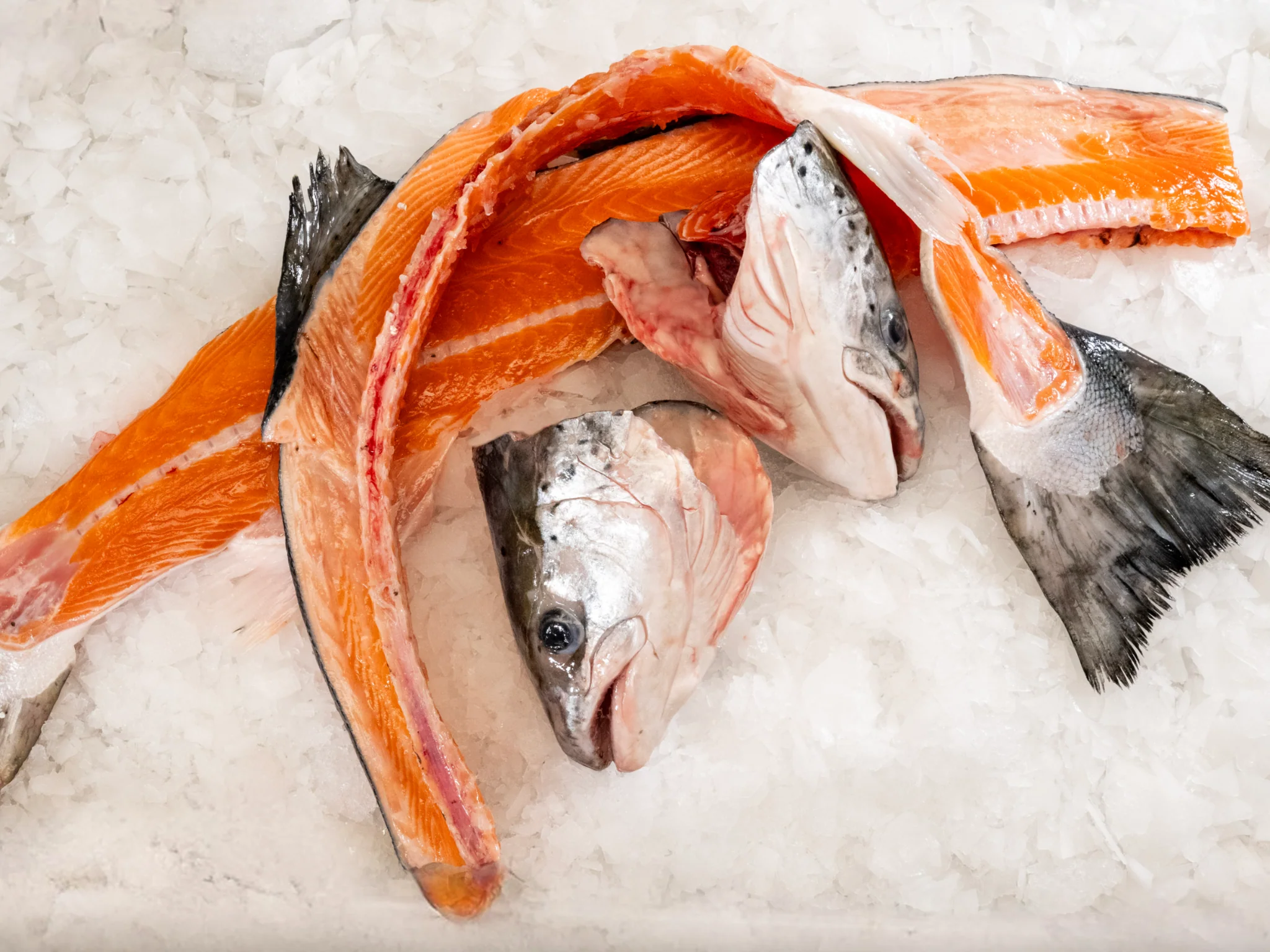 Salmon Head & Bone Set - Image 4