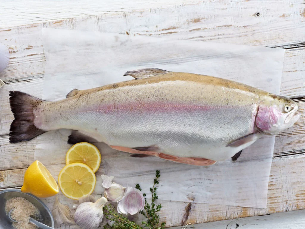 Tasmanian Ocean Trout - Image 3