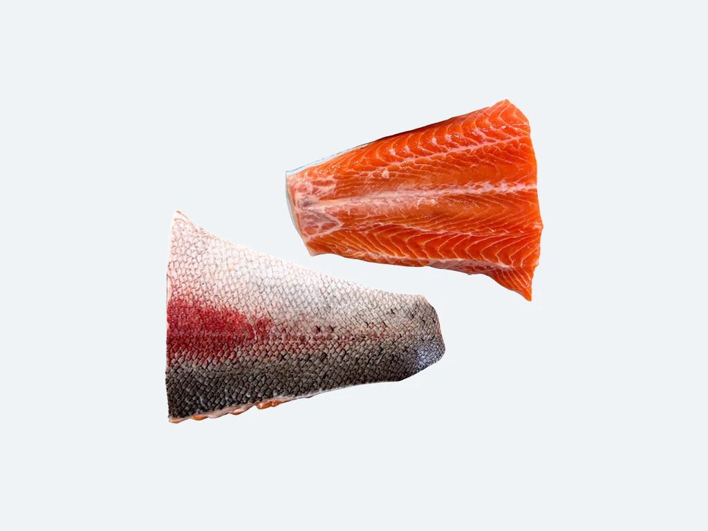 Tasmanian Ocean Trout - Image 7