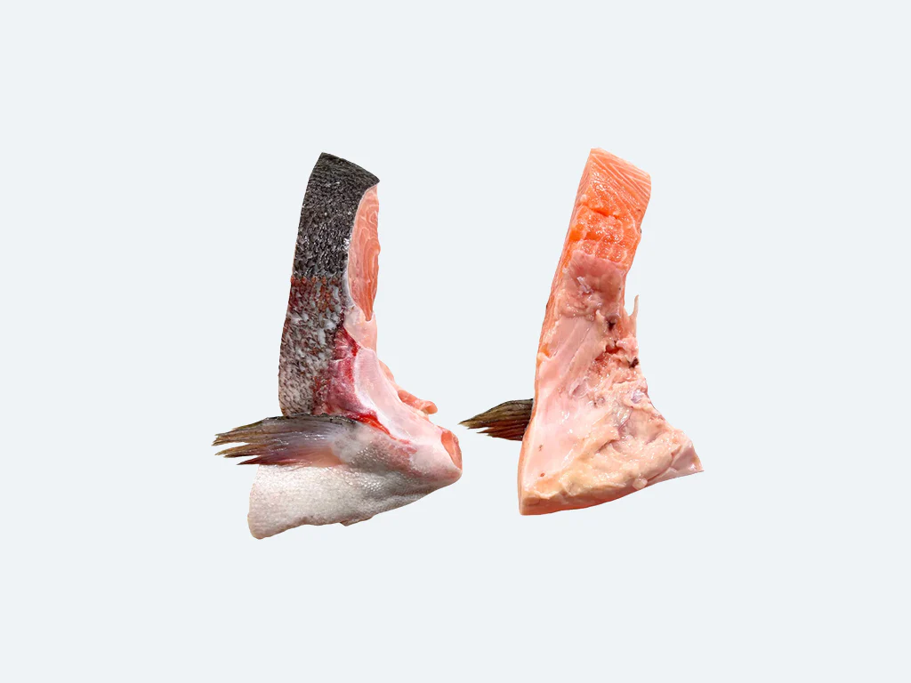 Tasmanian Ocean Trout - Image 8